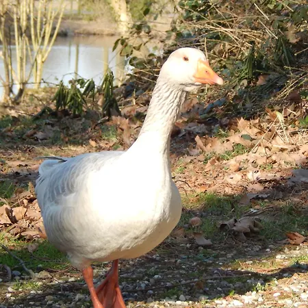 アパート Schloss Rimburg - &